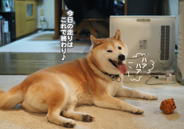 6日夕ブログ5