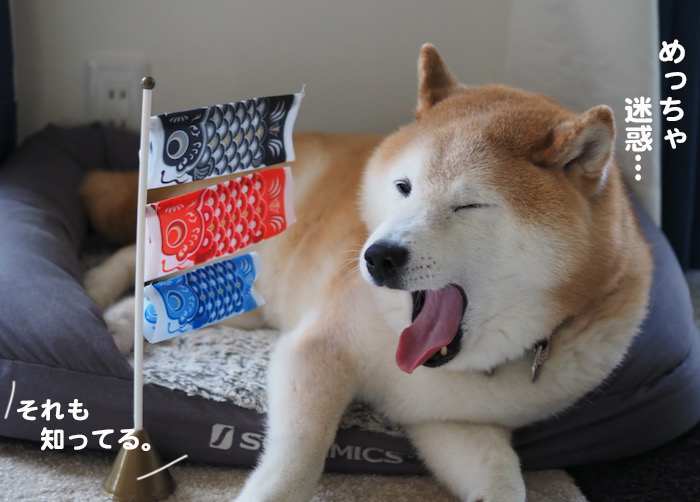 5日ブログ４