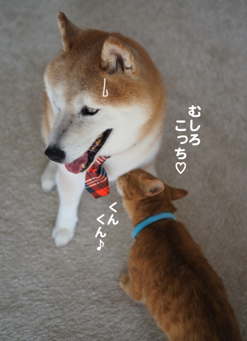 18日夕ブログ３