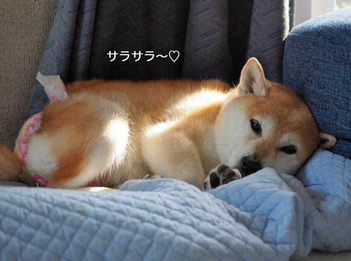 3日夜ブログ３