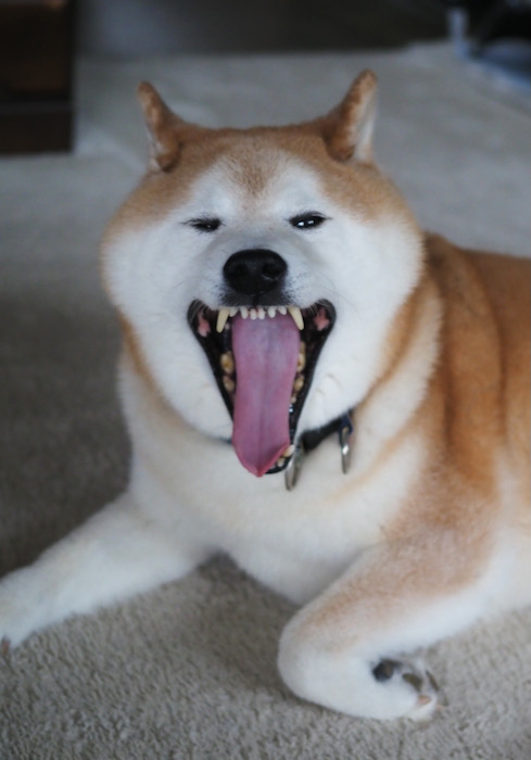 9日ブログ３