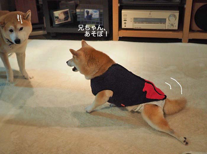 16日ブログ５