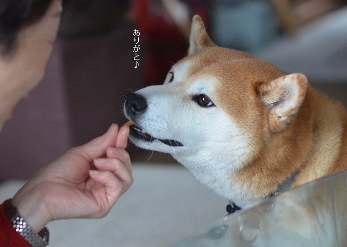 11日ブログ4
