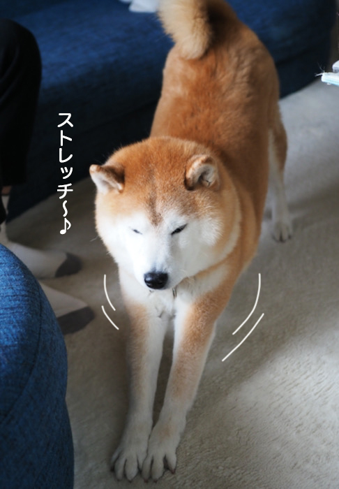 8日夜ブログ４
