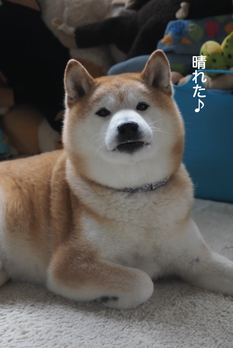 21日ブログ２