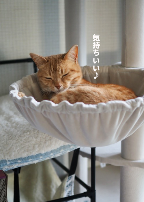 19日夕ブログ２