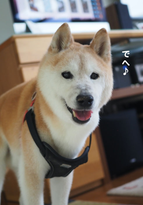 16日ブログ１