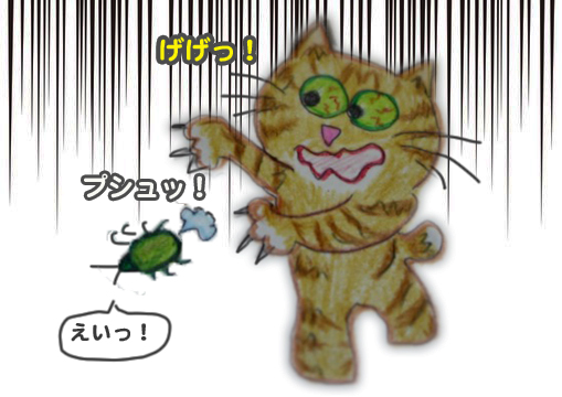 7日夕ブログ４