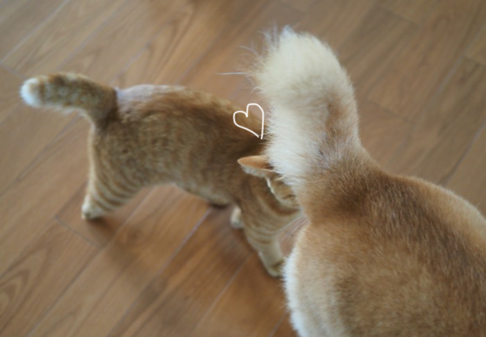18日夕ブログ4