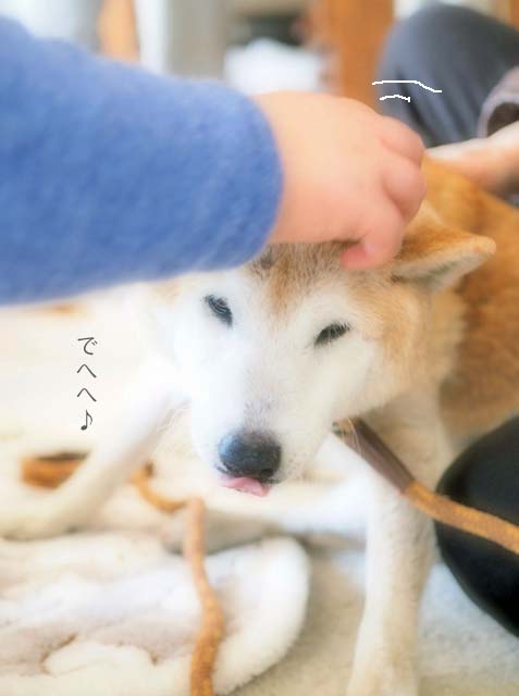 21日ブログ3