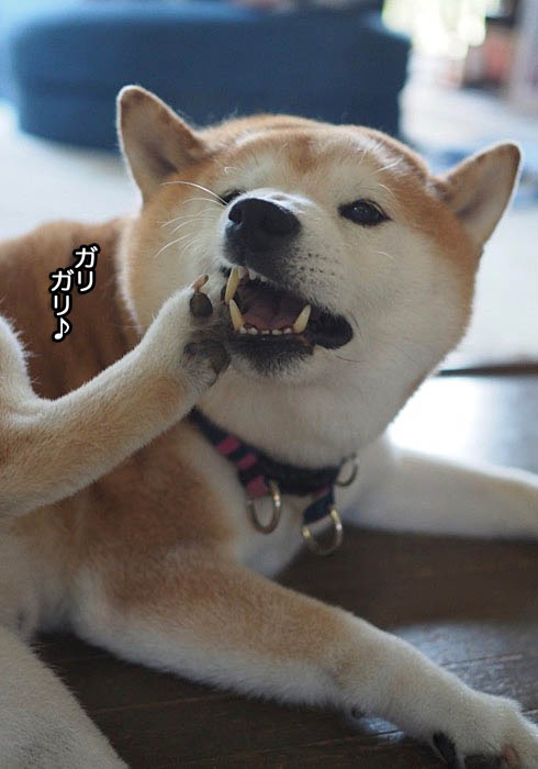 31日ブログ７