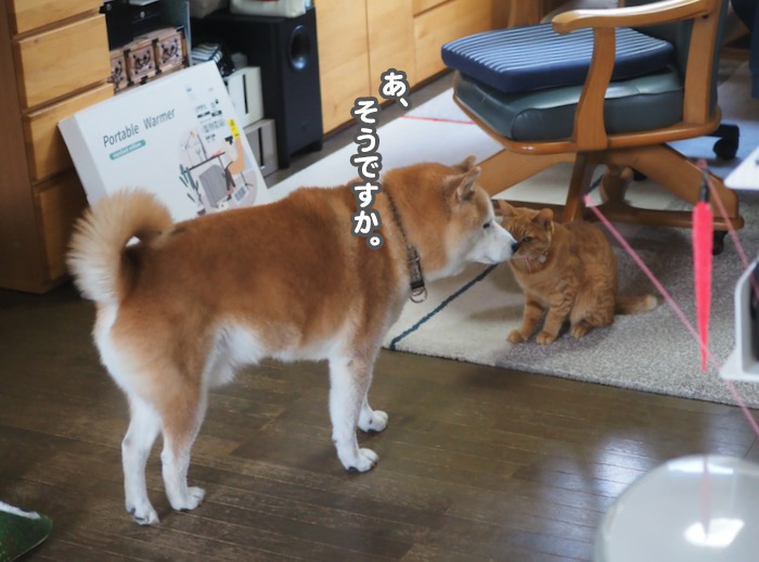 5日ブログ４