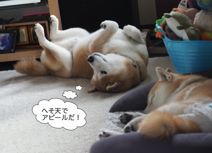 16日ブログ５