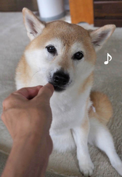 18日夜ブログ６