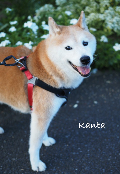 29日夕ブログ２