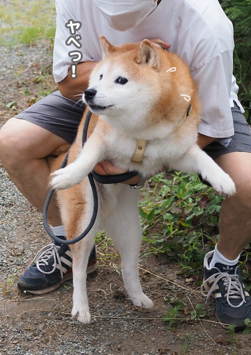 8日ブログ１