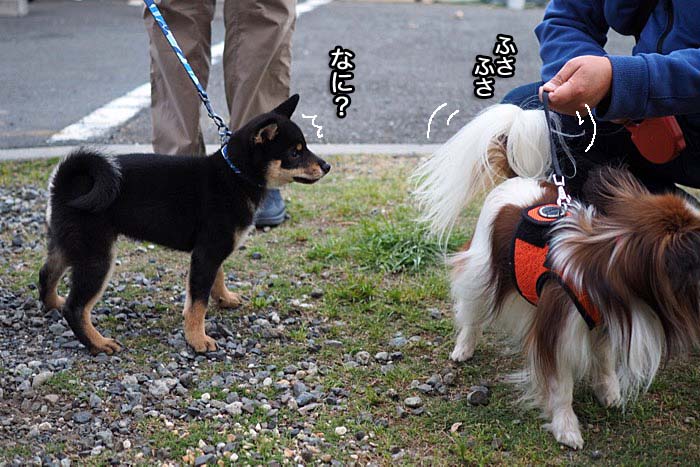 4日夜ブログ3