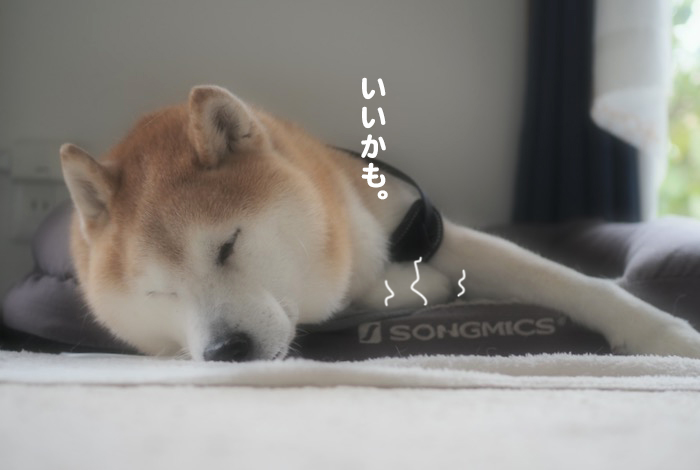 30日午前ブログ３