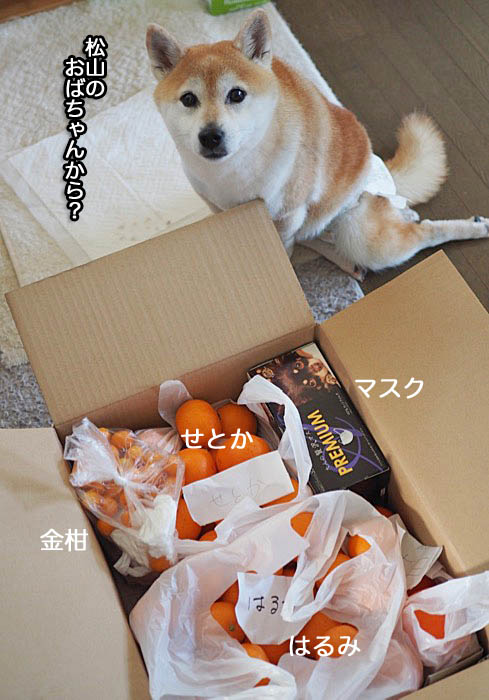 18日ブログ３