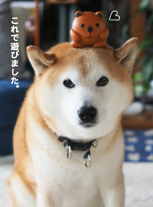 22日夜ブログ４