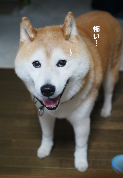 1日午前ブログ２