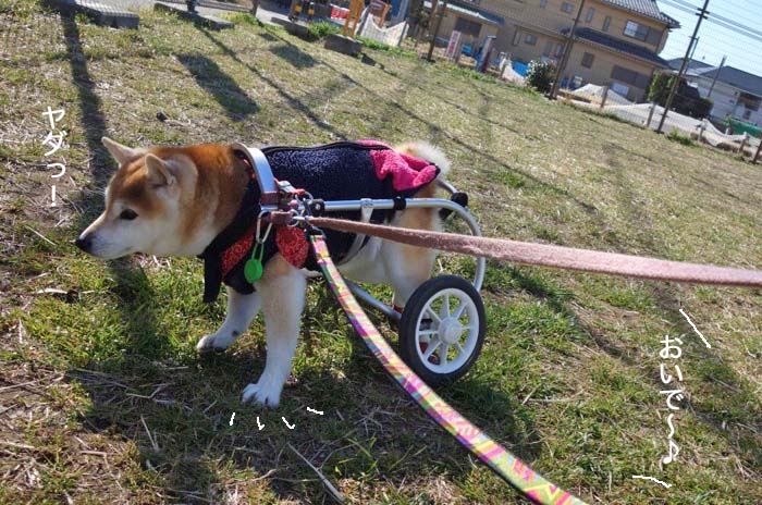 4日午後ブログ５