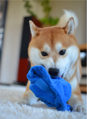 23日ブログ4.jpg