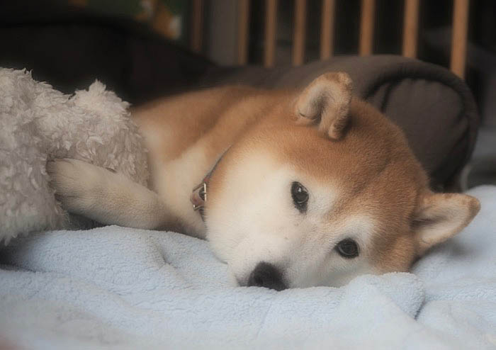 20日ブログ２