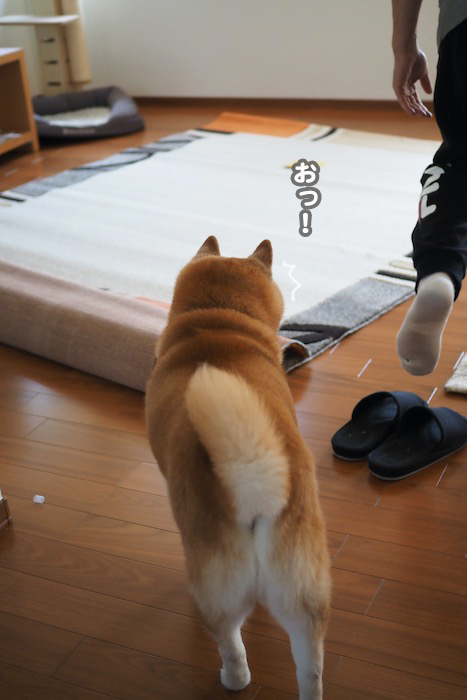 27日夕ブログ２
