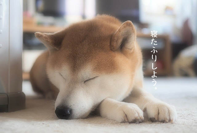 22日ブログ6