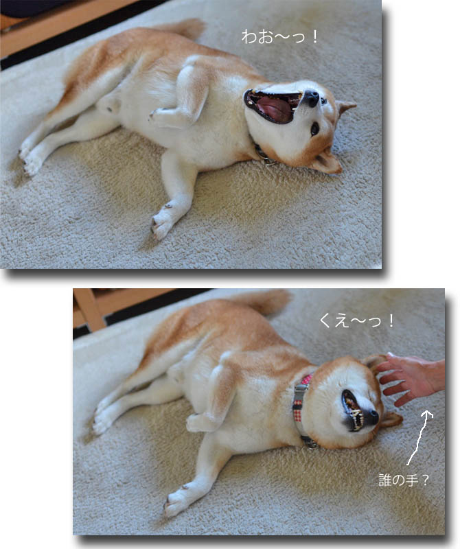 19日ブログ8
