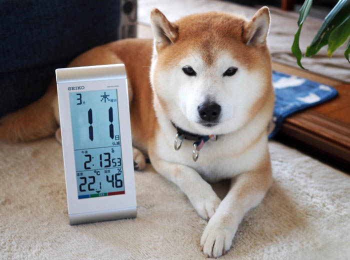 11日ブログ１