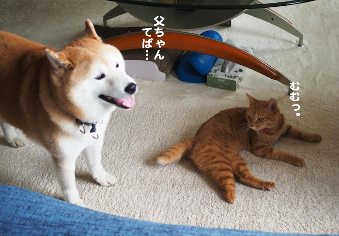 14日夜ブログ３