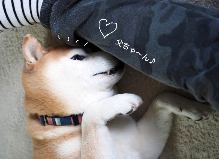 31日午後ブログ６
