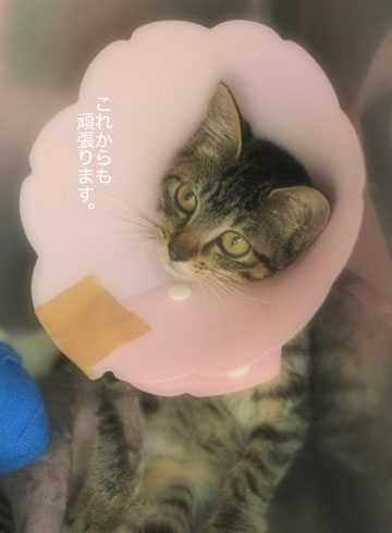 9日ブログ5.jpg