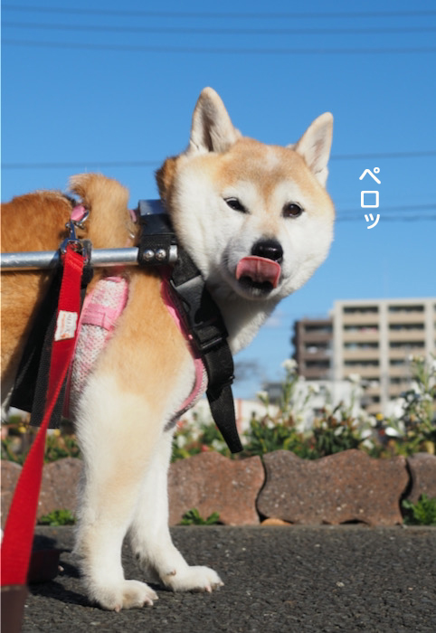 8日ブログ３