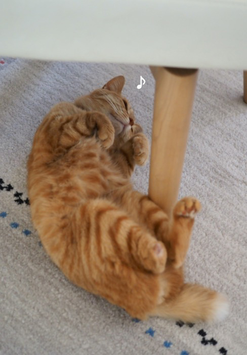 29日夕ブログ３