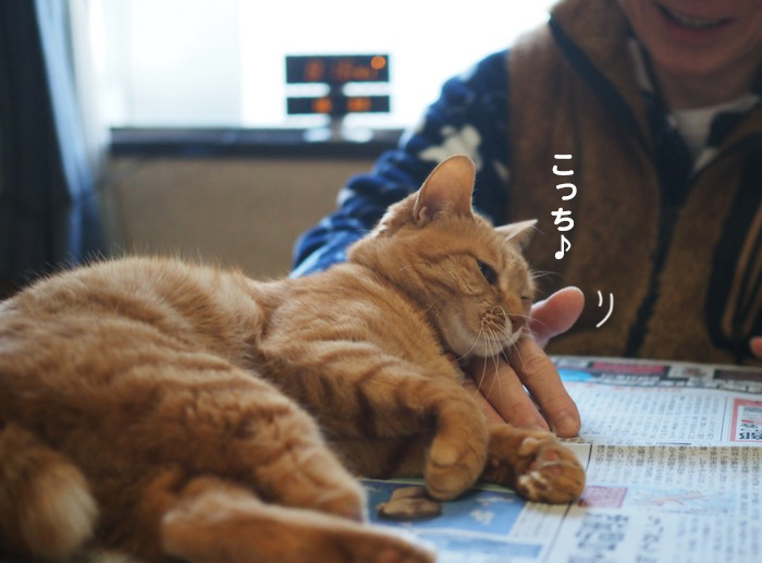 11日ブログ２