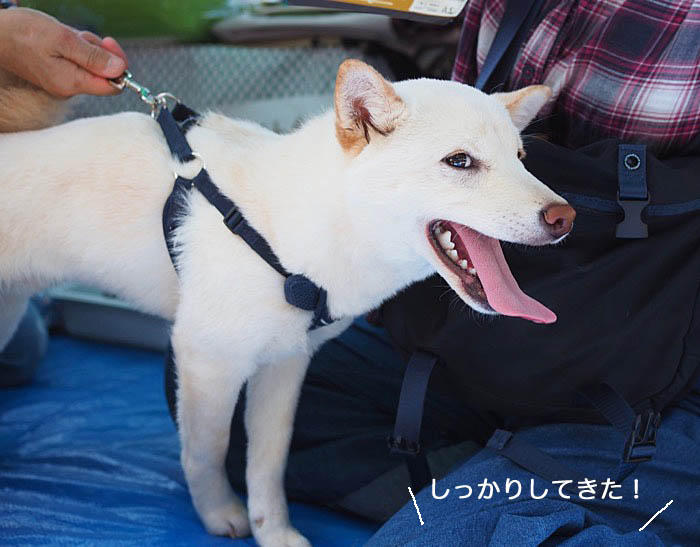 21日ブログ８