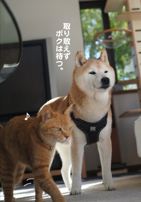 9日ブログ３