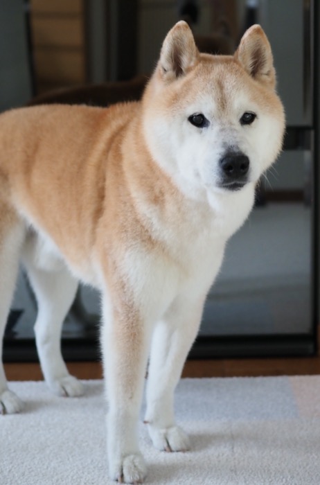 4日午前ブログ７