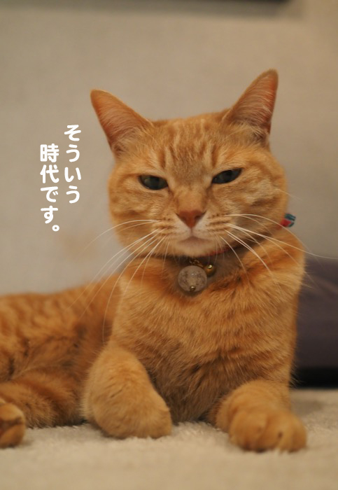 9日夕ブログ６