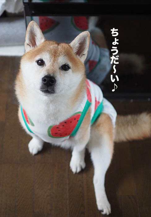 2日夜ブログ２