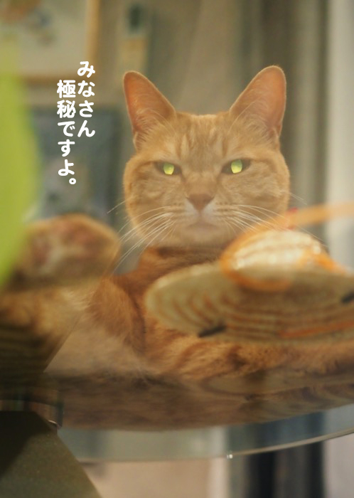 6日夕ブログ９