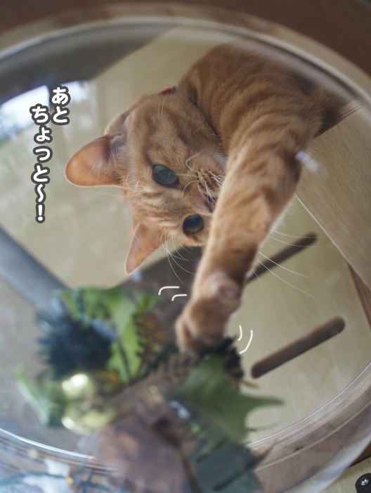 6日夕ブログ４