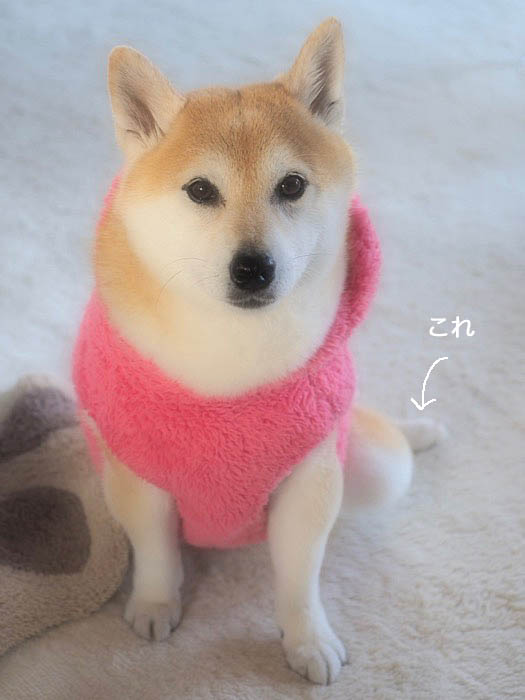 15日ブログ６