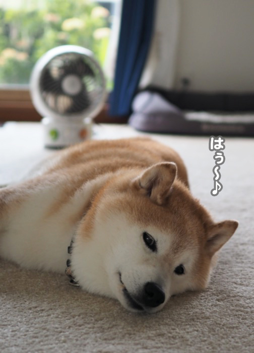 25日ブログ２
