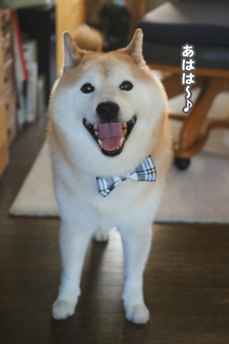 5日夕ブログ６