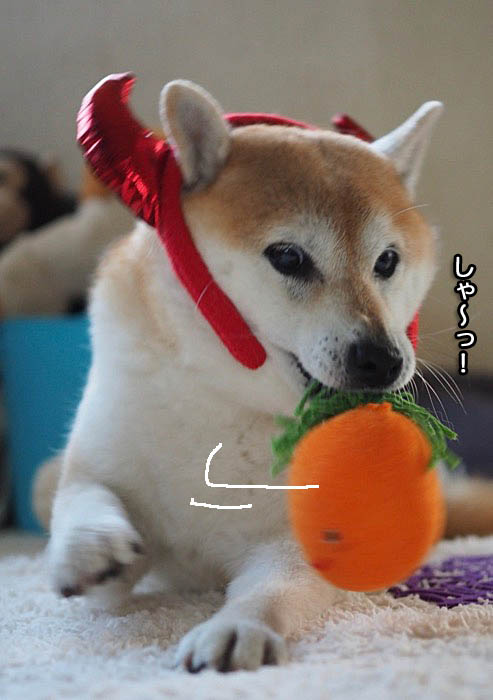 1日ブログ５