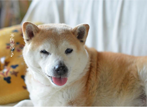31日ブログ4.jpg
